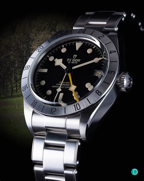 tudor black bay case back